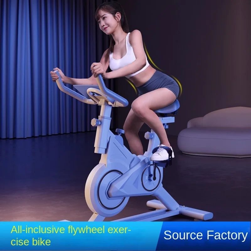 SKIG Indoor Spinning Exercise Bike