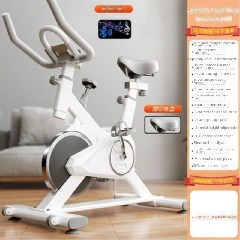 SKIG Indoor Spinning Exercise Bike