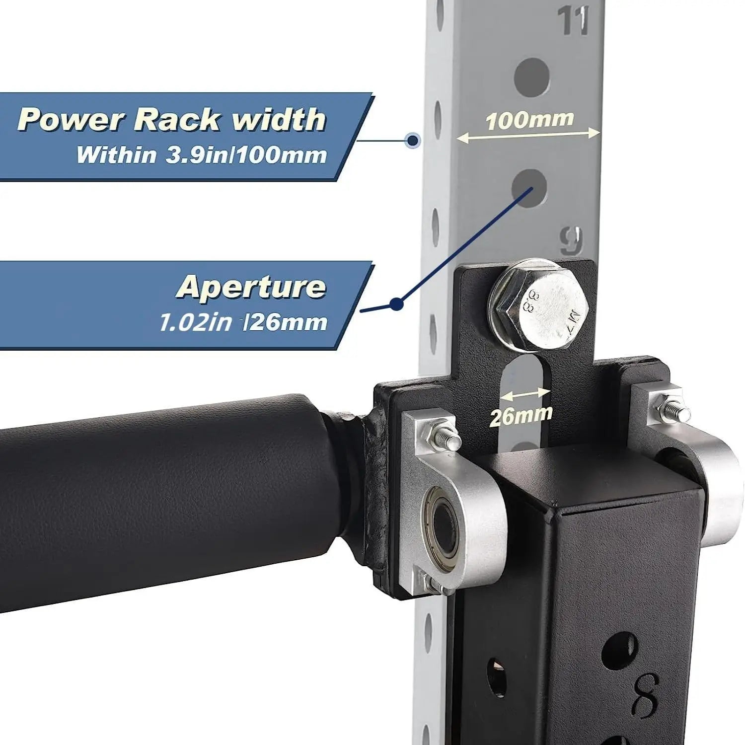 Seated Leg Extension Curl Machine