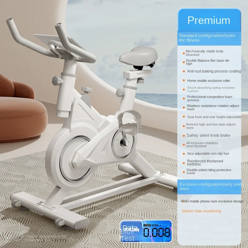 SKIG Indoor Spinning Exercise Bike