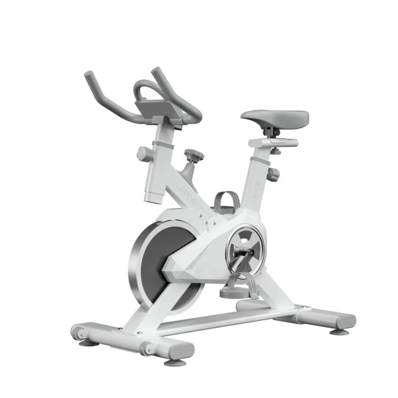 SKIG Indoor Spinning Exercise Bike