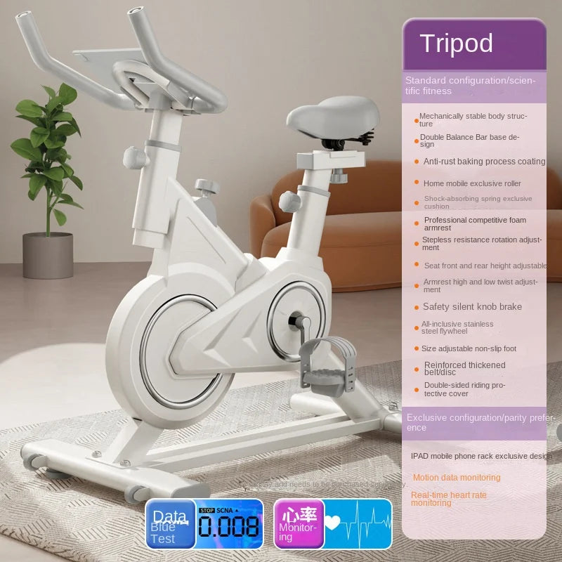 SKIG Indoor Spinning Exercise Bike