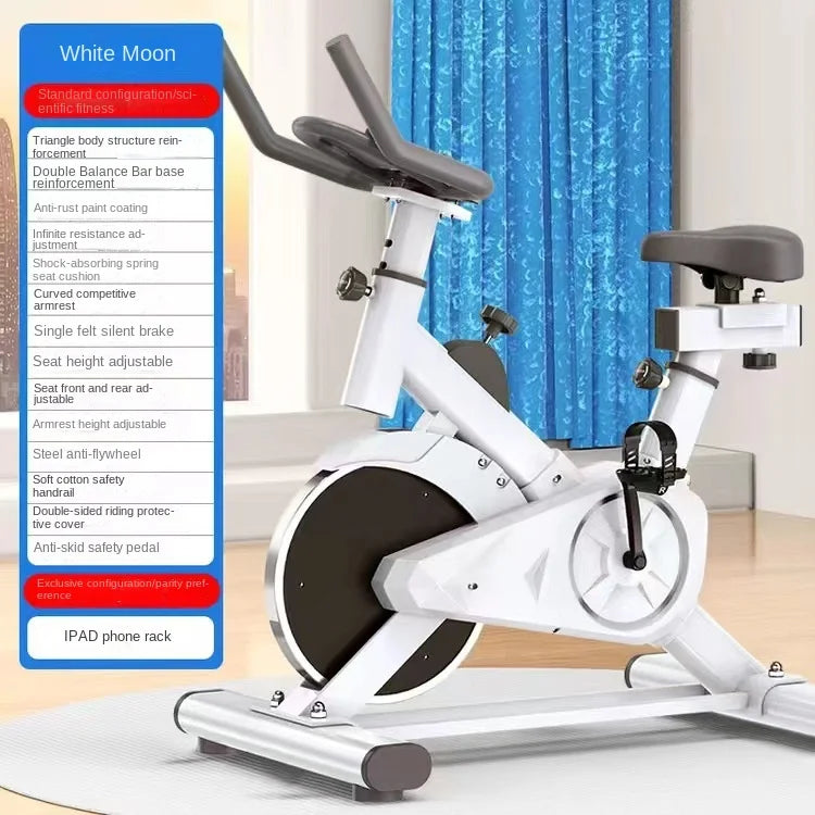 SKIG Indoor Spinning Exercise Bike