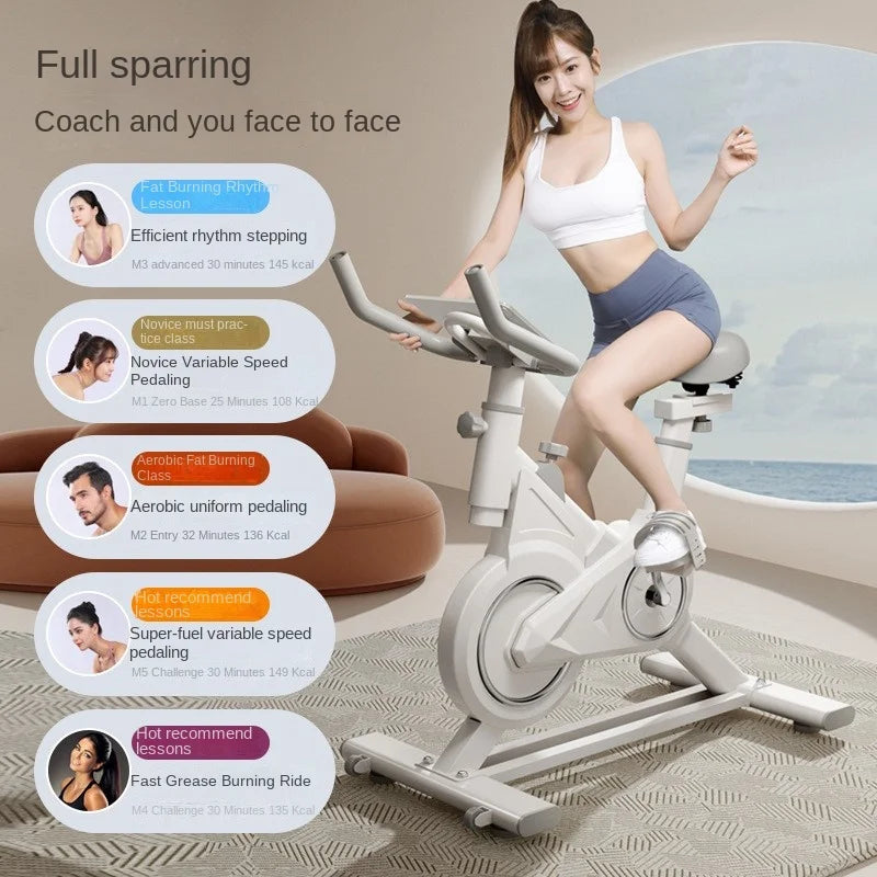 SKIG Indoor Spinning Exercise Bike