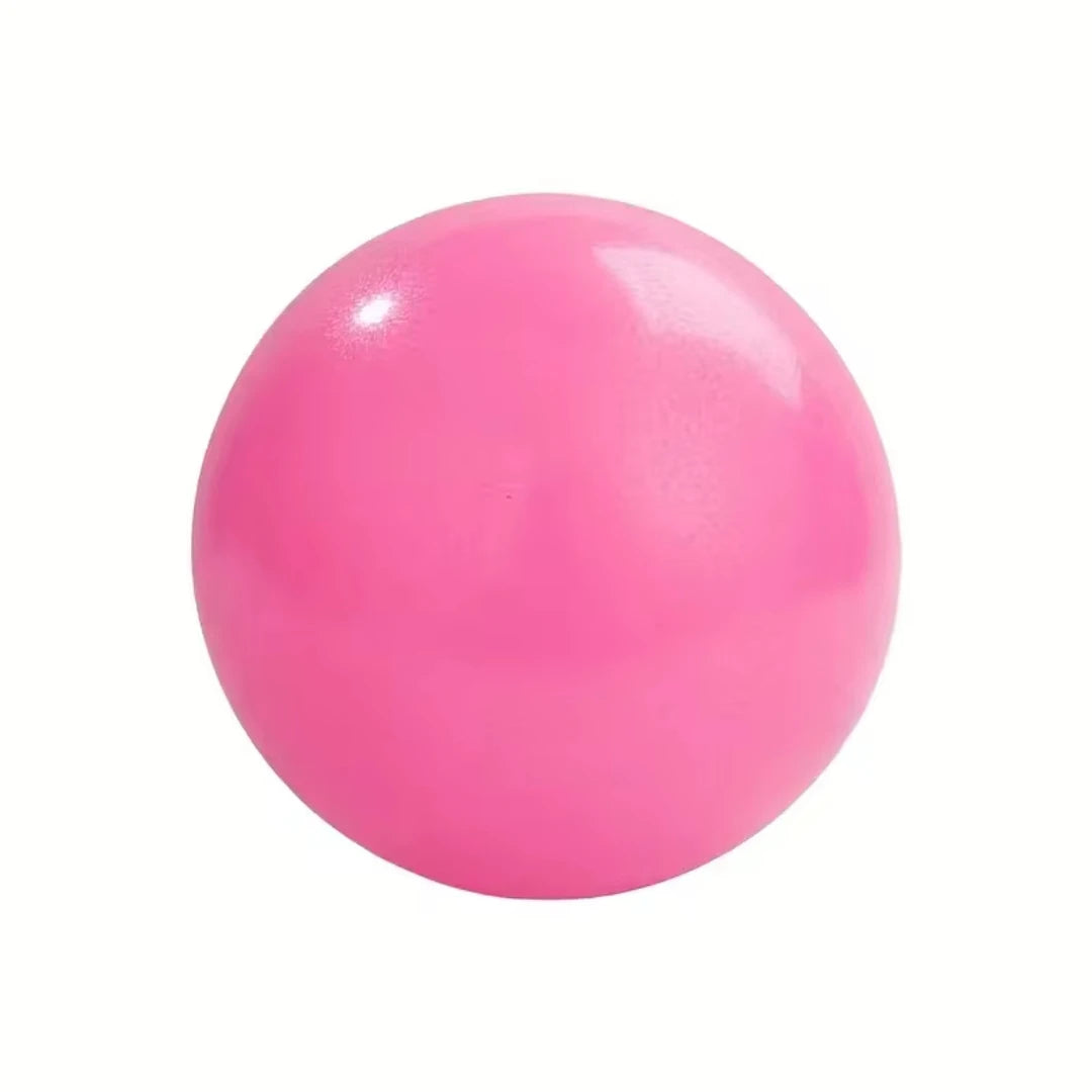 25CM Pilates Balance Training Ball