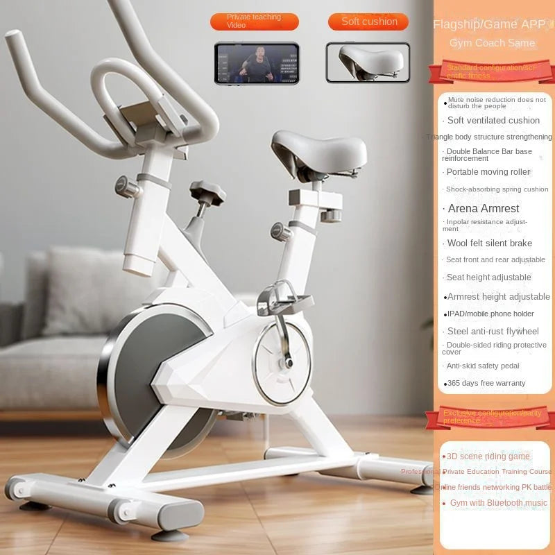 SKIG Indoor Spinning Exercise Bike