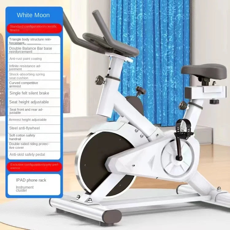 SKIG Indoor Spinning Exercise Bike