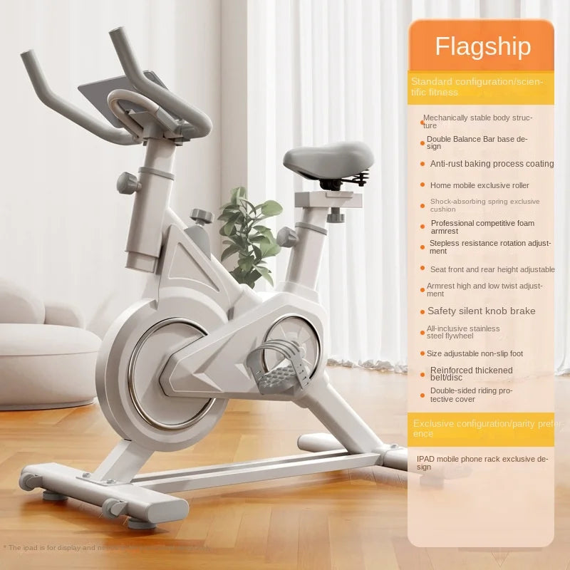 SKIG Indoor Spinning Exercise Bike