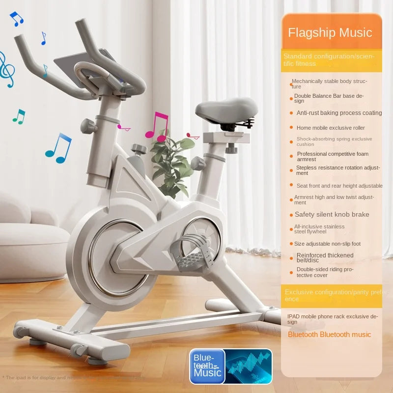 SKIG Indoor Spinning Exercise Bike