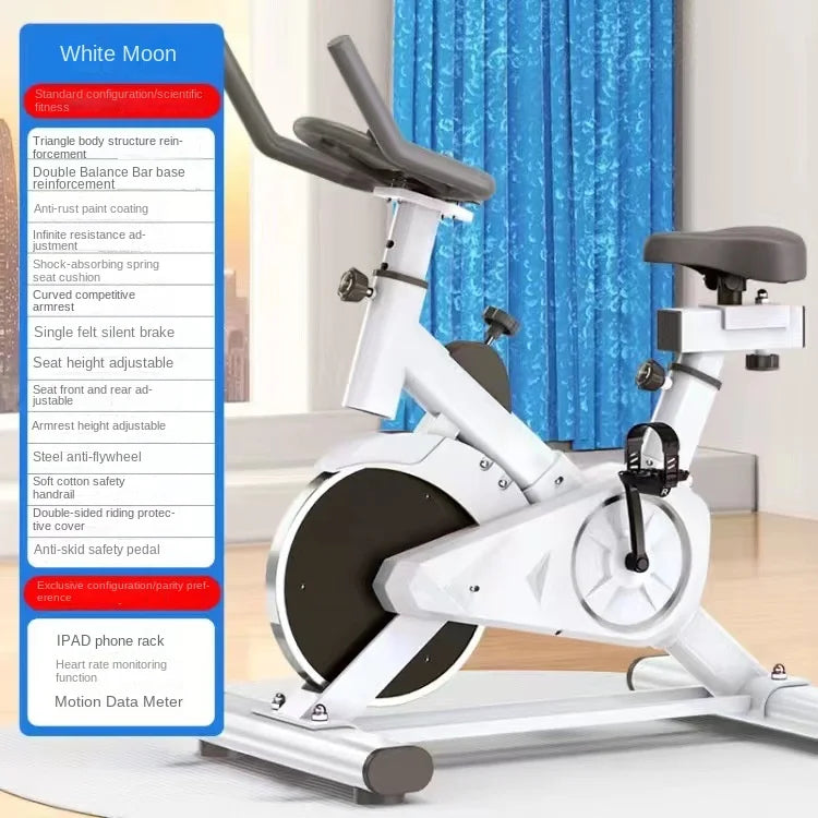 SKIG Indoor Spinning Exercise Bike